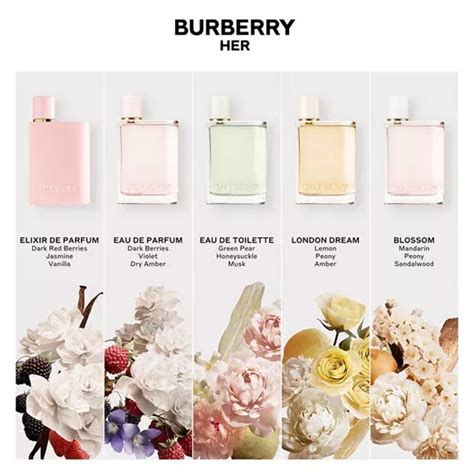 burberry perfume scent description|burberry her fragrance notes.